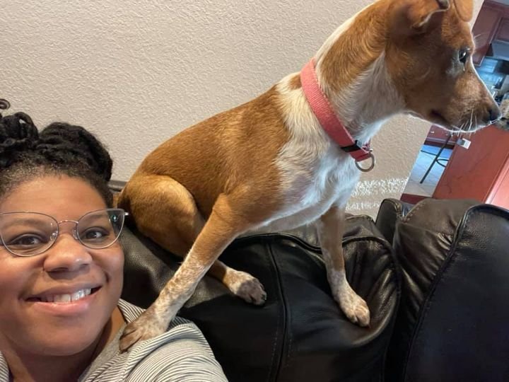 Foster volunteer Heather Kiernan is fostering Frannie, who is a 6-month-old cattle dog mix. Frannie is great with people and animals. She is also a Hurricane Ida survivor.